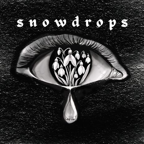 Snowdrops, Pt. 2 | Boomplay Music