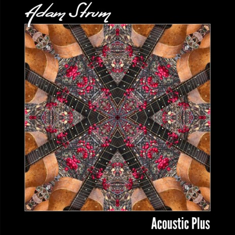Acoustic Plus