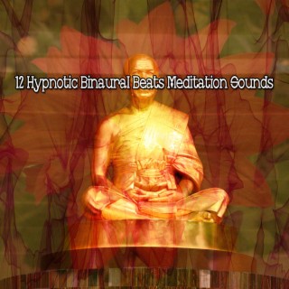 12 Hypnotic Binaural Beats Meditation Sounds