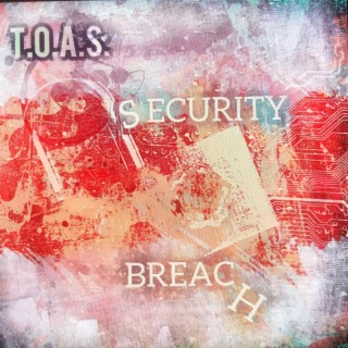T.O.A.S. Security Breach
