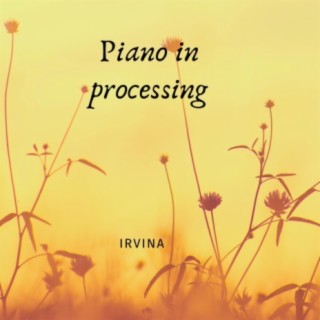 Piano in Processing