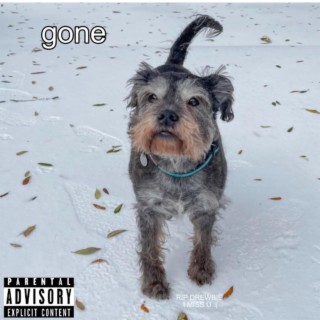 gone lyrics | Boomplay Music