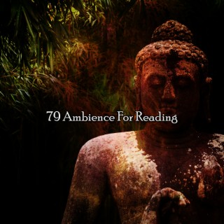 79 Ambience For Reading