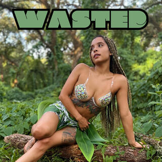 Wasted lyrics | Boomplay Music