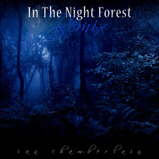 In the Night Forrest (Remix)