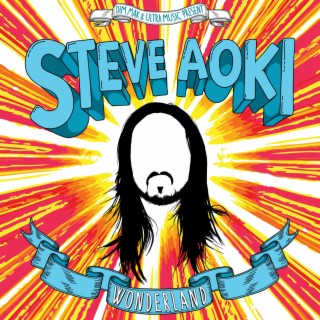 STEVE AOKI