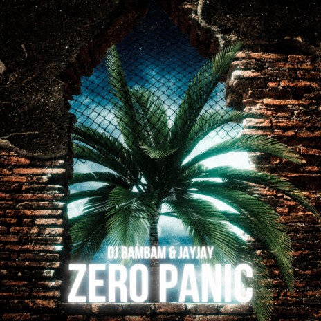Zero Panic ft. DJ BamBam | Boomplay Music