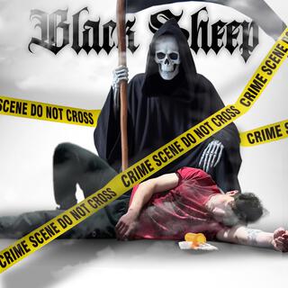 Black Sheep lyrics | Boomplay Music