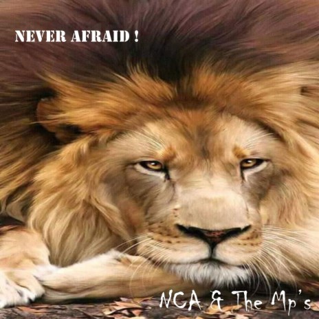 Never Afraid ! | Boomplay Music