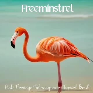 Pink Flamingo Relaxing on a Tropical Beach (Instrumental Acoustic Classical Guitar Version)