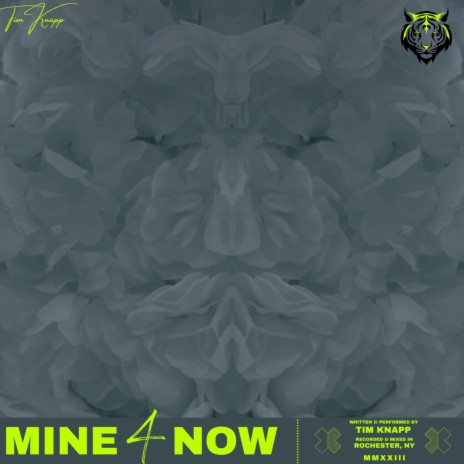Mine 4 Now | Boomplay Music