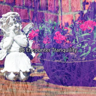 58 Encounter Tranquility