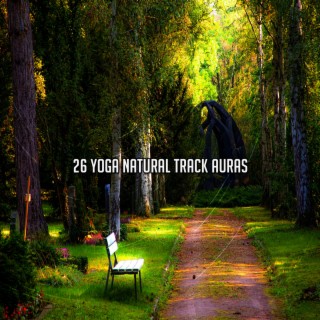 26 Yoga Natural Track Auras