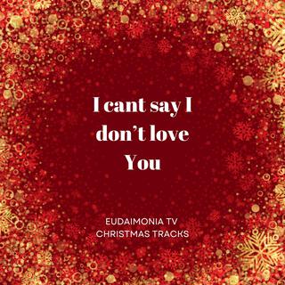 I cant say I don’t love You lyrics | Boomplay Music