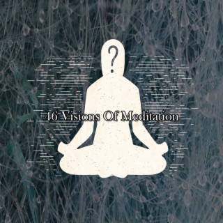46 Visions Of Meditation