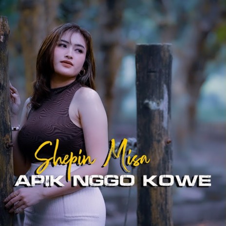 Apik Nggo Kowe | Boomplay Music