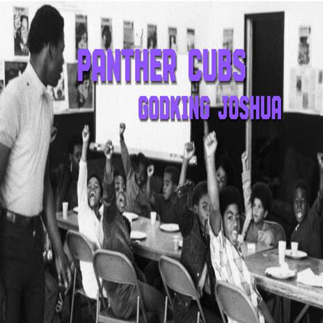 Panther Cubs