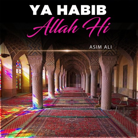 Ya Habib Allah Hi | Boomplay Music