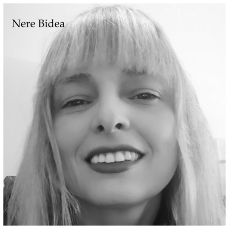 Nere Bidea | Boomplay Music