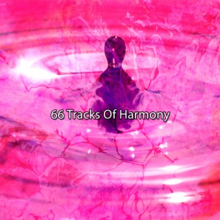 66 Tracks Of Harmony