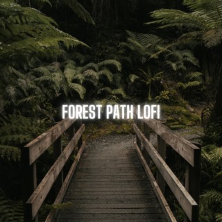 Forest Path Lofi