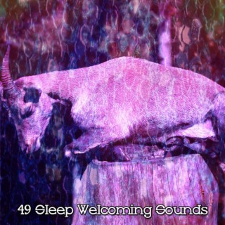 49 Sleep Welcoming Sounds