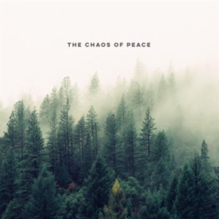 The Chaos of Peace