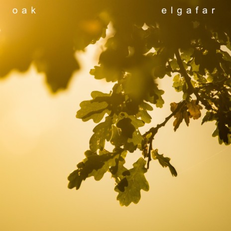 Oak | Boomplay Music