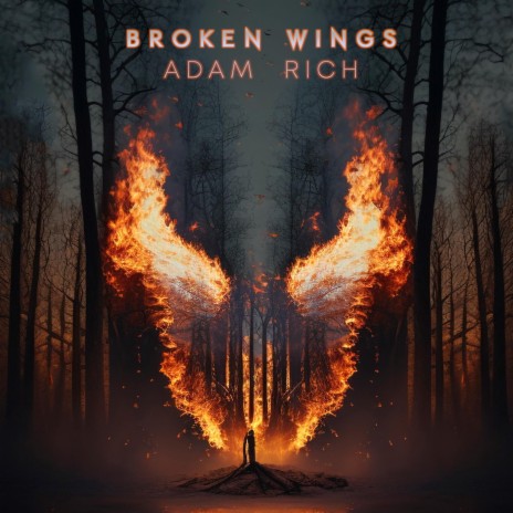 Broken Wings | Boomplay Music