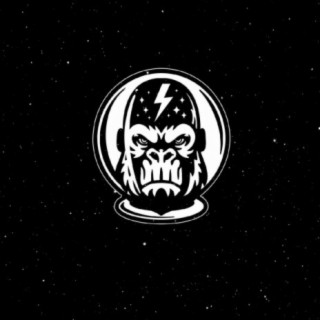 Space Chimp