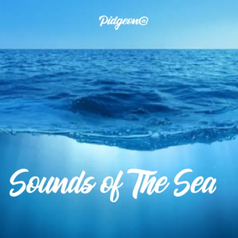 Sounds of the Sea | Boomplay Music