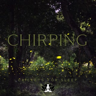Chirping Crickets for Sleep: Soothing Nature Night Sounds & Calming Cicadas for Insomnia Cure and Calm Mind