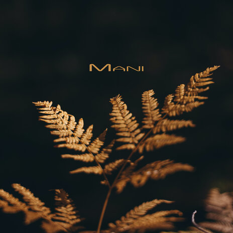 Mani | Boomplay Music