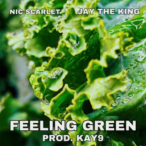 Feeling Green ft. JayTheKing | Boomplay Music