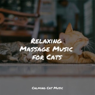 Calm Music for Cats