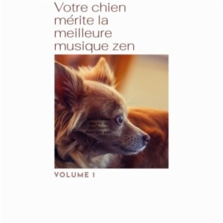 Votre chien mérite la meilleure musique zen, Vol. 1