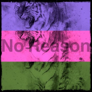 No Reason