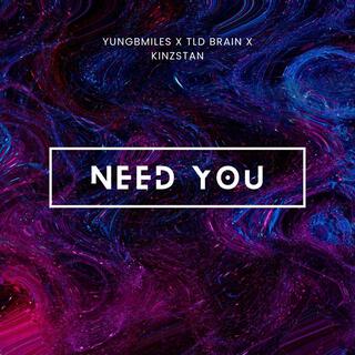 Need you (feat. TLD brain & Kinzstan)