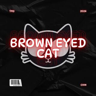 Brown Eyed Cat