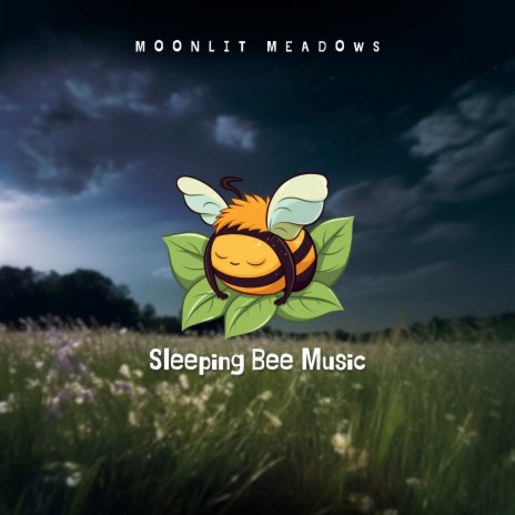 Falling Asleep Quickly | Boomplay Music