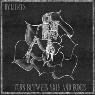 Torn Between Skin and Bones lyrics | Boomplay Music