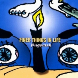 Finer Things In Life (CD Single)