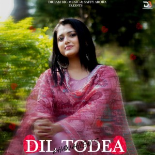 dil todea