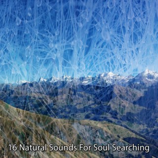 16 Natural Sounds For Soul Searching