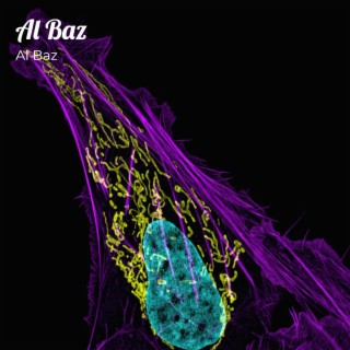 Al Baz