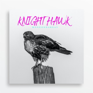 Knight Hawk