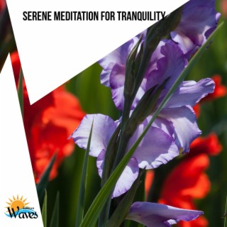 Serene Meditation for Tranquility