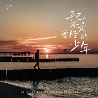 早已不是曾经的少年 lyrics | Boomplay Music