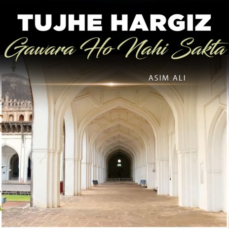 Tujhe Hargiz Gawara Ho Nahi Sakta | Boomplay Music