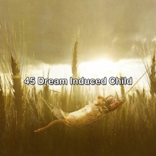 45 Dream Induced Child